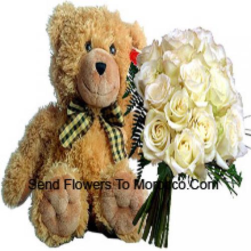 19 Witte Rozen met 14 Inch Teddy