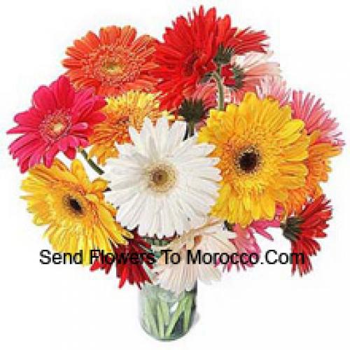 19 Jolies Gerberas Mixtes