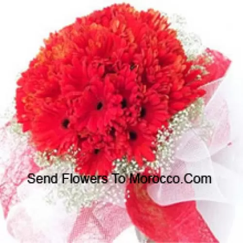 A Beautiful Bunch Of 37 Red Gerberas With Seasonal Fillers