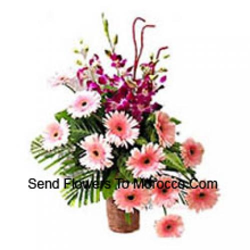 Gerberas Sensacionais com Orquídeas