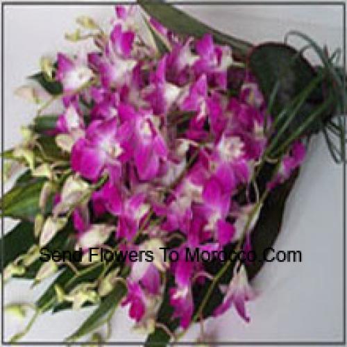 Cute Orchids Bunch