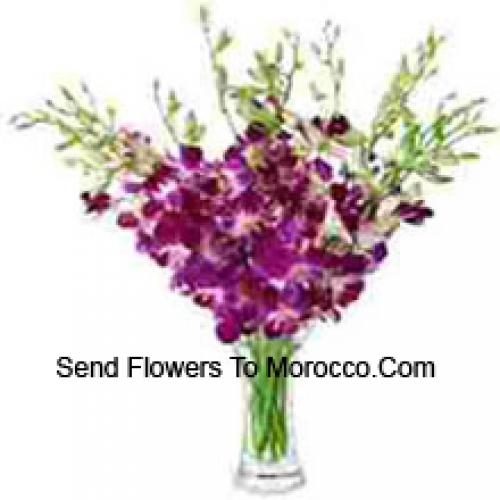 Elegant Orchids in Vase