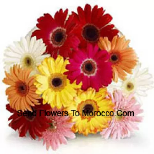 Bunch Of 11 Assorted Colored Gerberas