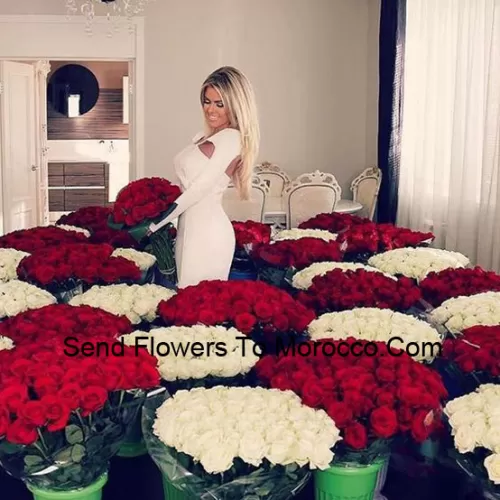 Nosso quarto cheio de rosas tem muitos arranjos de rosas vermelhas e brancas - O número total de rosas no pacote é 1501