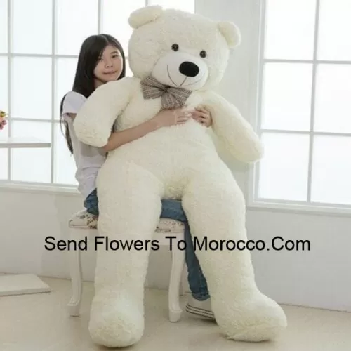 Een reusachtige teddybeer van 5 voet (60 inch/152 centimeter) lang