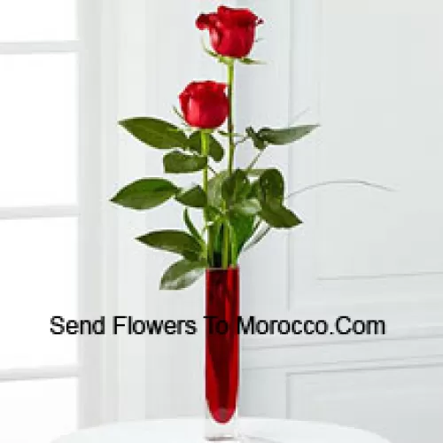 Two Red Roses In A Red Test Tube Vase (We Reserve The Right To Substitute The Vase In Case Of Non-Availability. Limited Stock)